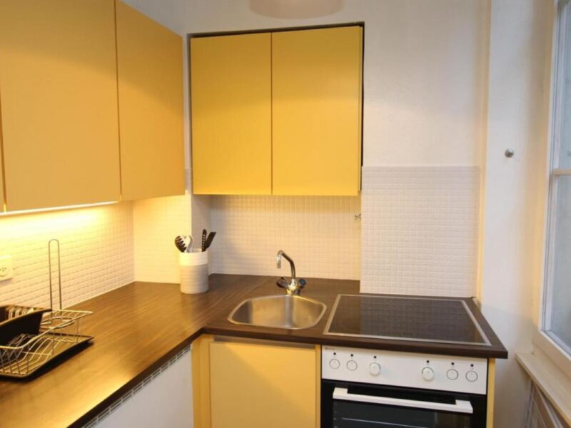 Studio Meublé 35 m2 à Geneve Quartier pittoresque
