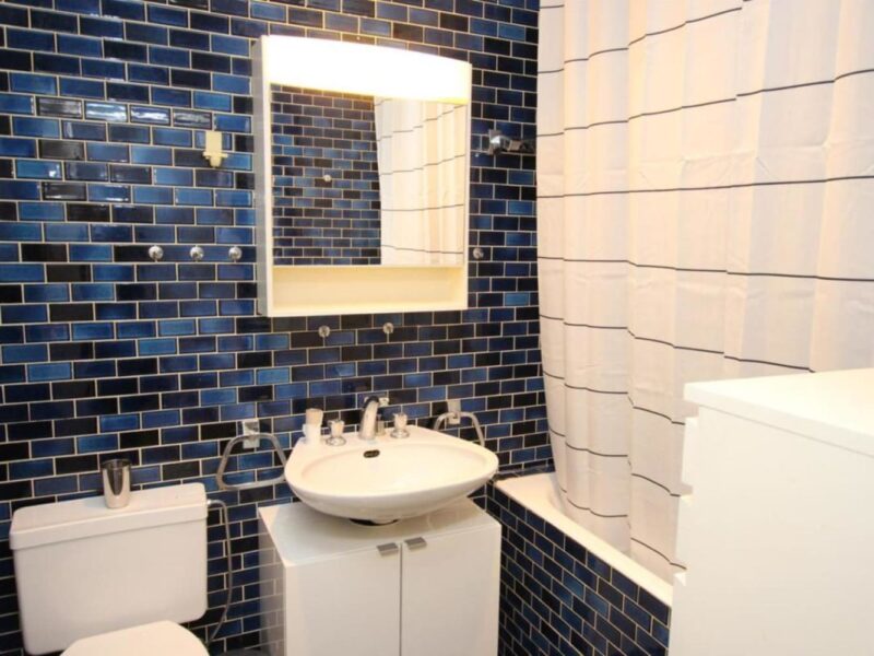 Studio Meublé 35 m2 à Geneve Quartier pittoresque